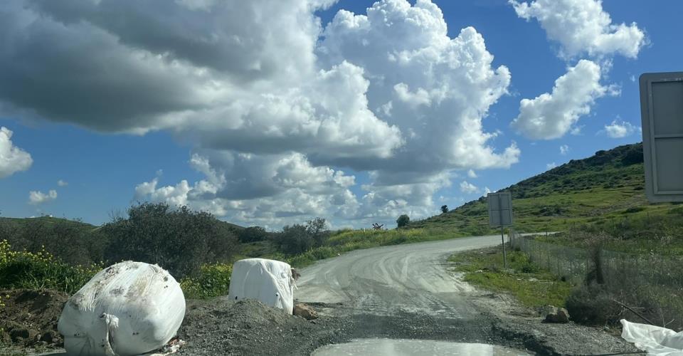 Κτηνιατρικές Υπηρεσίες: Νομική υποχρέωση η καθολική θανάτωση ζώων σε πληγείσες...